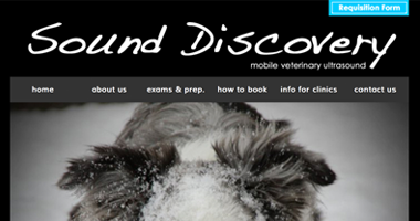 Sound Discovery Quickview